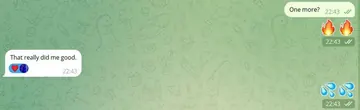 Telegram sexting review, real chat screenshot 15 with a verified girl